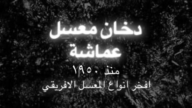 شركة عماشة للدخان والمعسل بالمنصورة